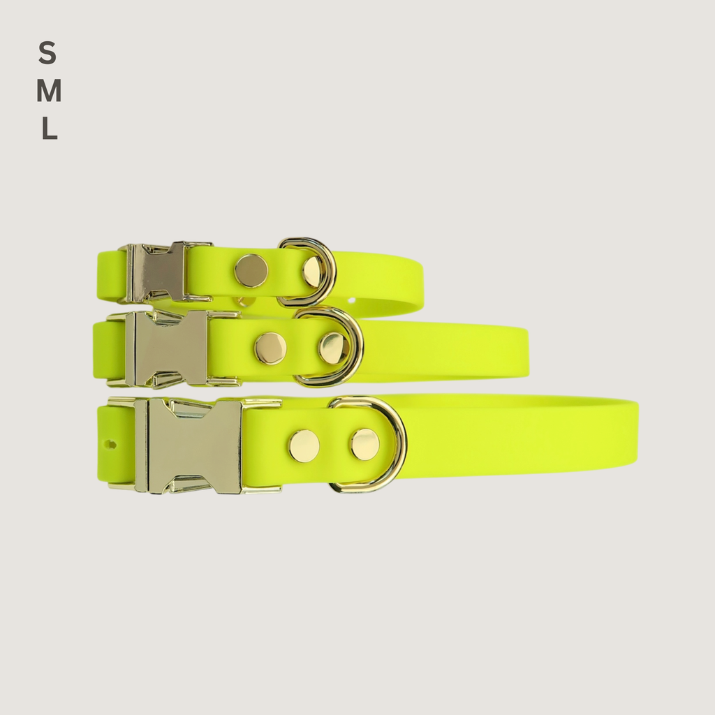 Medium Dog Collar Northern Yellow