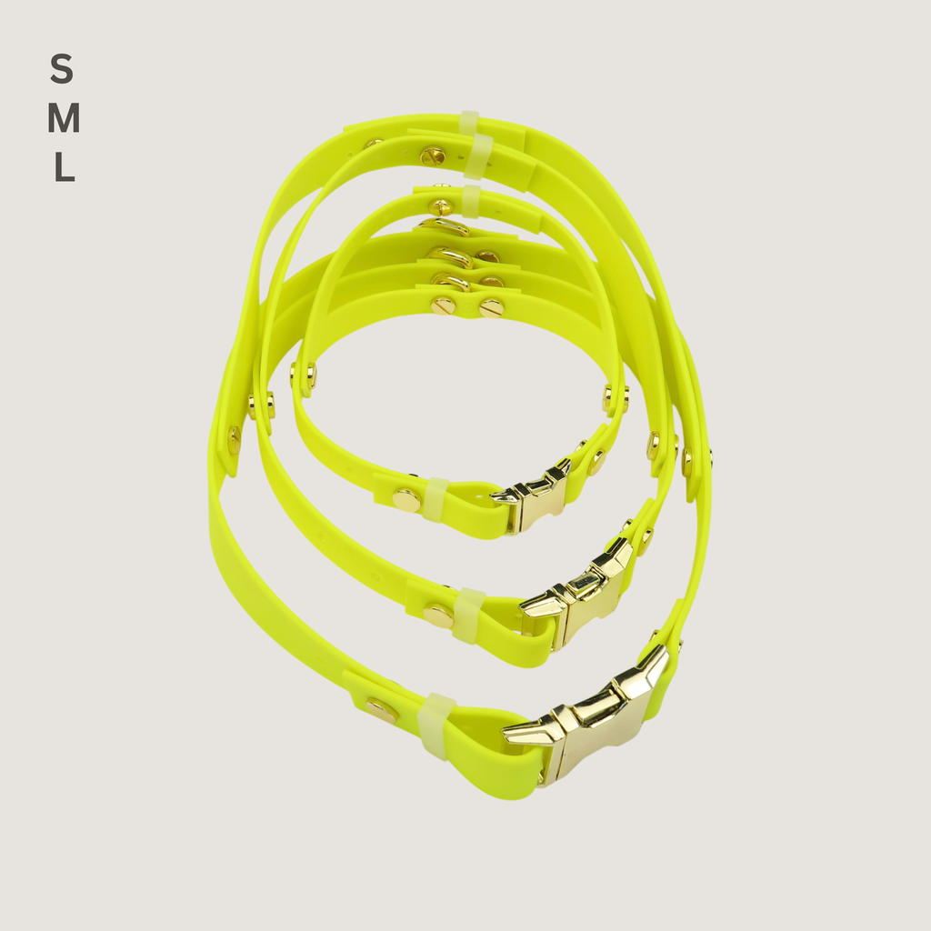 Medium Dog Harness Northern Yellow