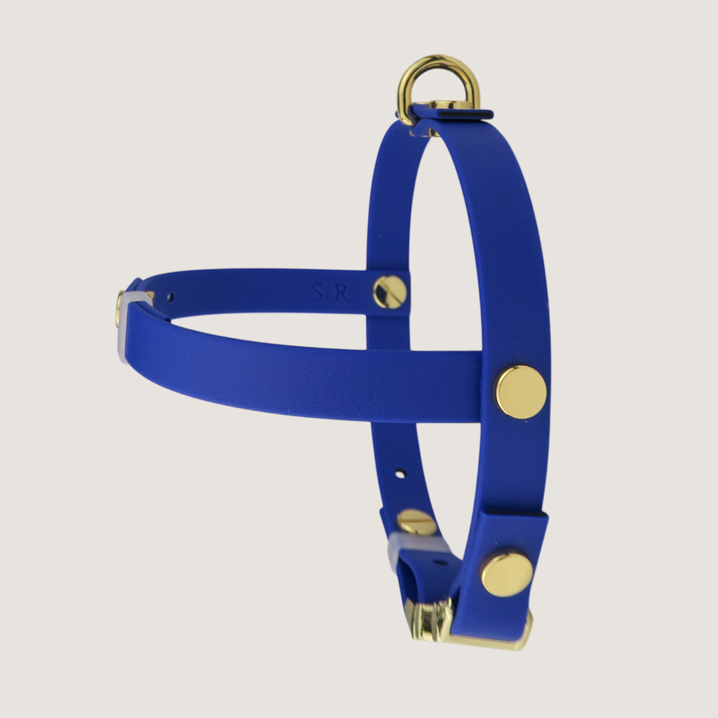 Small Dog Harness Northern Blue