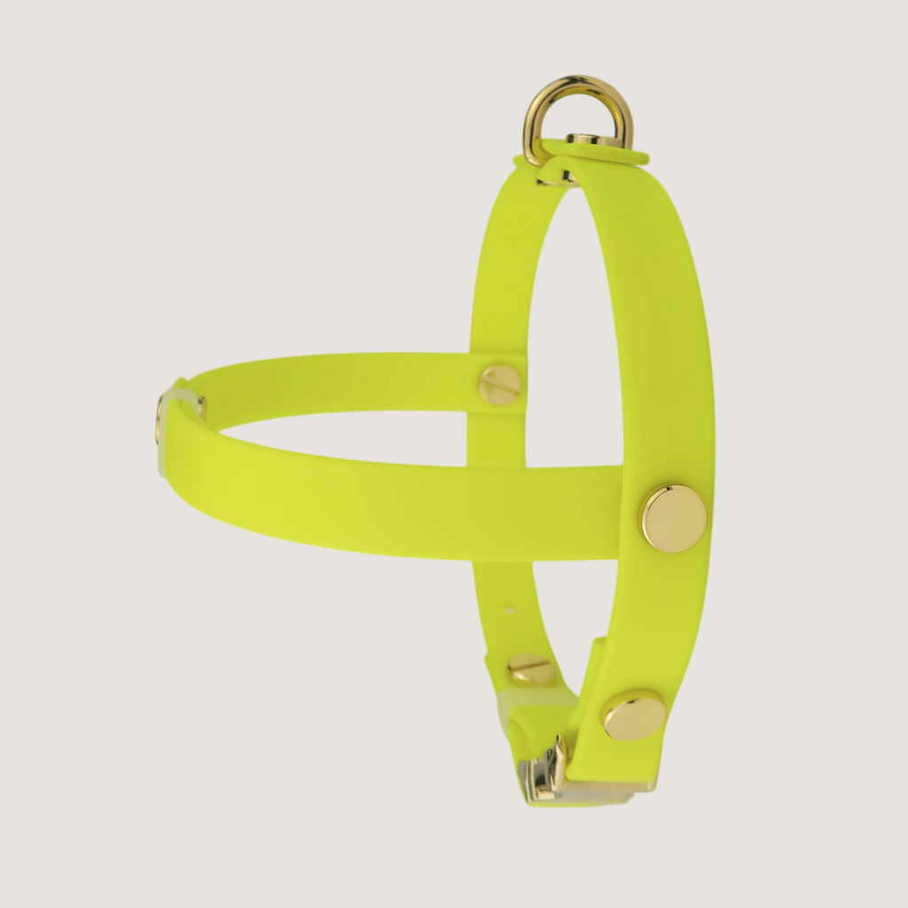 Small Dog Harness Northern Yellow
