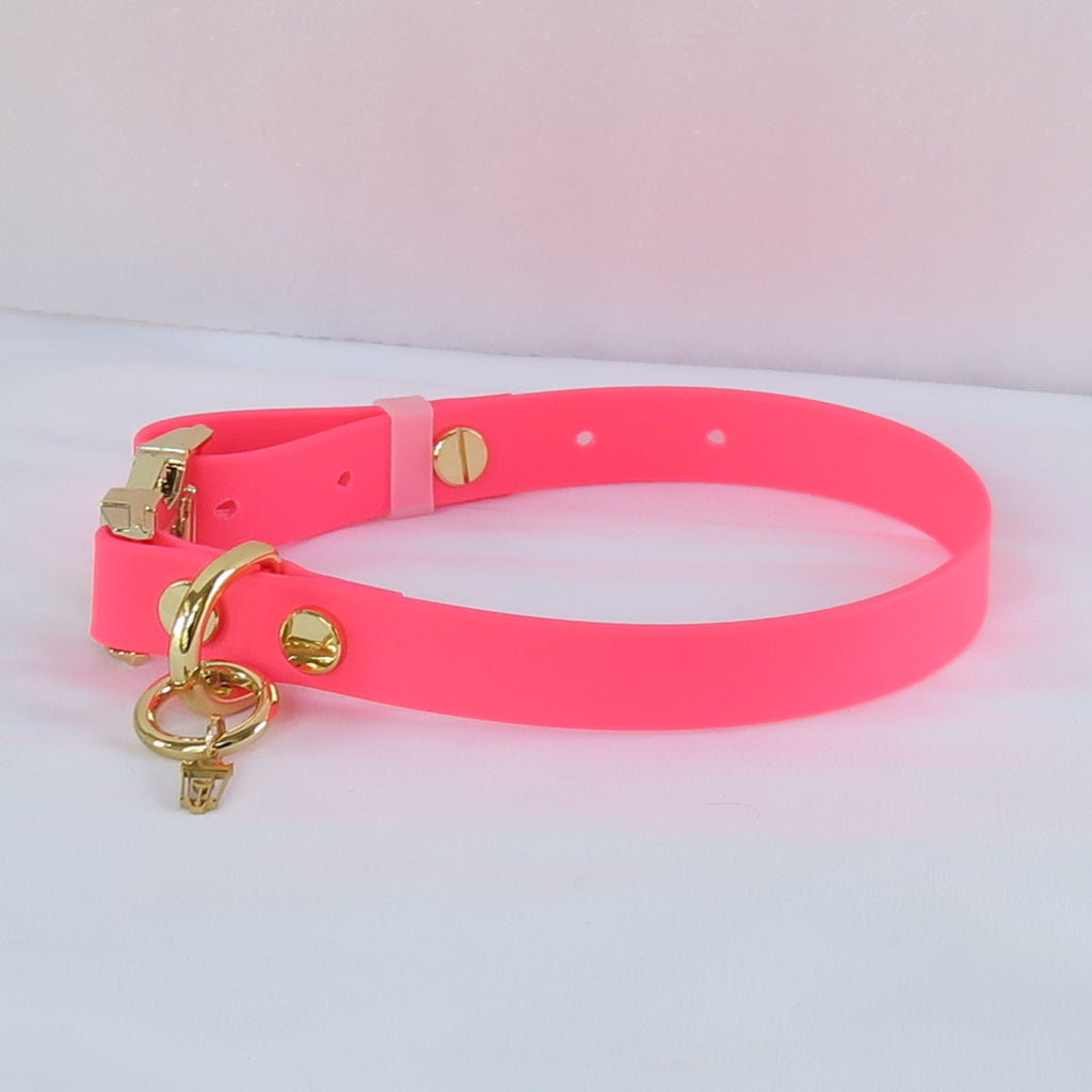 Medium Dog Collar Northern Pink
